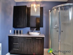 P-263_Salle de bain