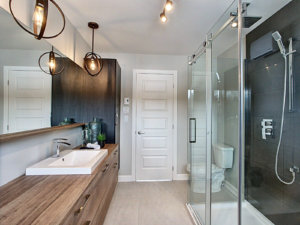 P-388 : Salle de bain